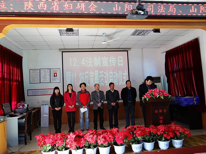 2013年十六日行动之山阳宣传照片